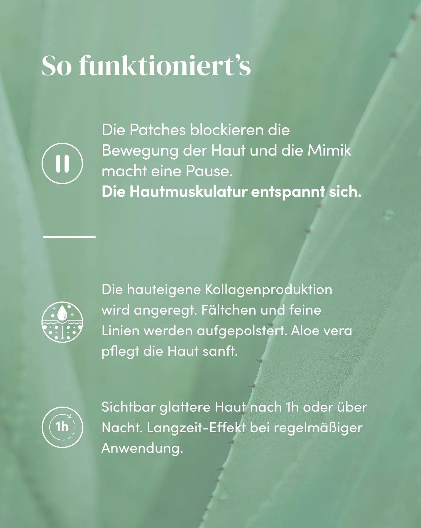 aloe-vera-mund-falten-patches-wirkung-apricot SONVELIA