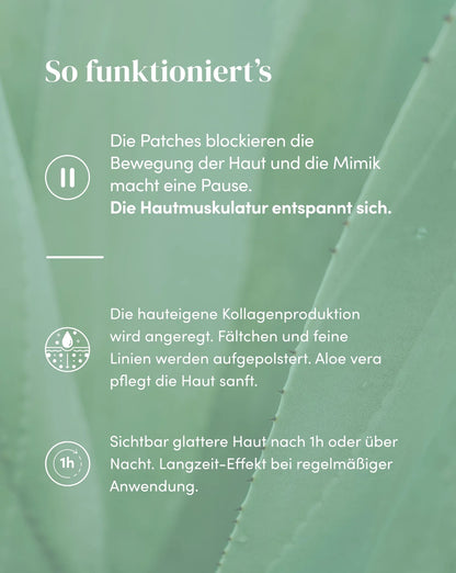aloe-vera-mund-falten-patches-wirkung-apricot SONVELIA