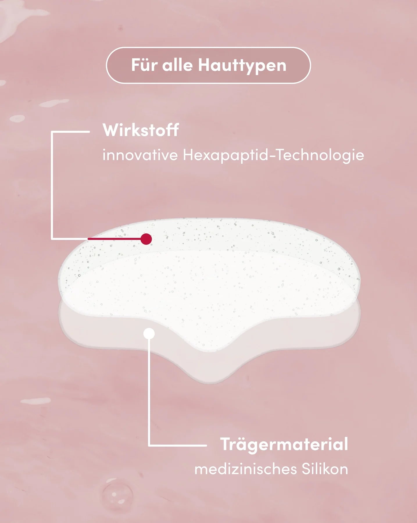Wiederverwendbares Stirn Pad mit Hexapeptide APRICOT